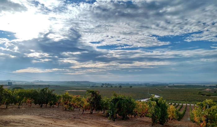 Imagen 3 de Bodegas Duron