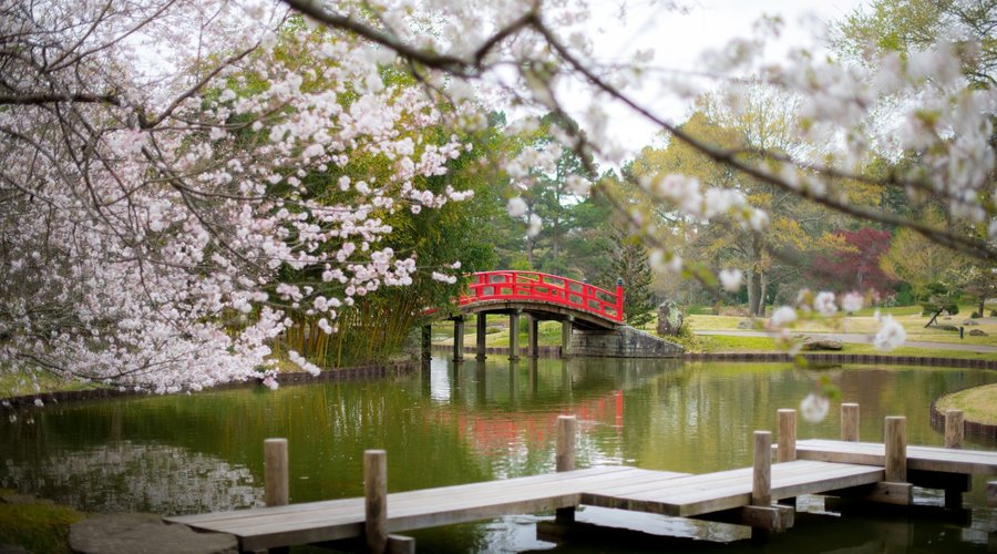 Memphis Botanic Garden - 멤피스 - Memphis Botanic Garden의 리뷰 - 트립어드바이저