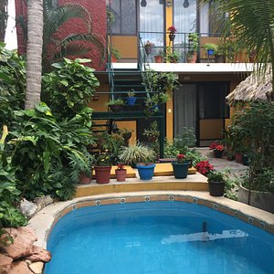 tropical garden and pool