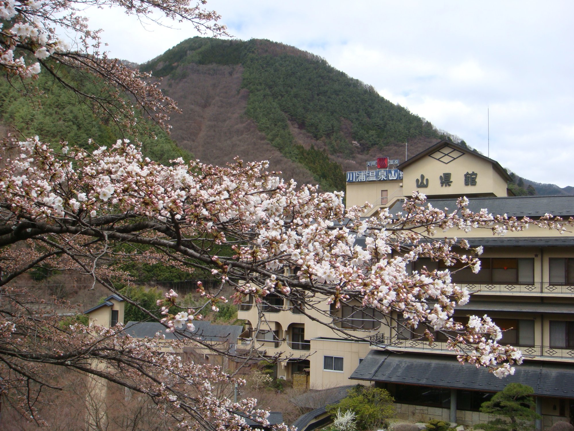 川浦温泉山県館 image