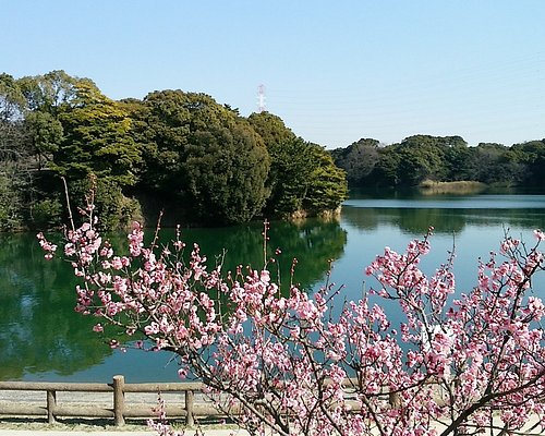 21年 知多市で絶対外さないおすすめ観光スポットトップ10 定番から穴場まで トリップアドバイザー