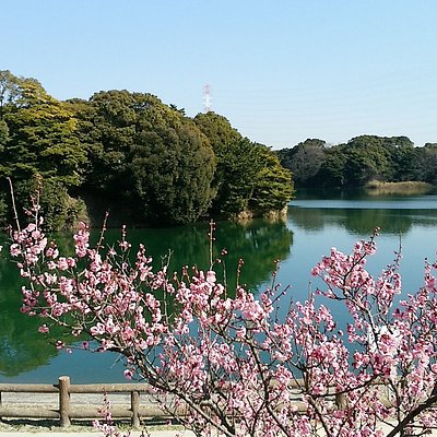 21年 知多市で絶対外さないおすすめ観光スポットトップ10 定番から穴場まで トリップアドバイザー 21年 知多市で絶対外さないおすすめ観光スポットトップ10 定番から穴場まで トリップアドバイザー