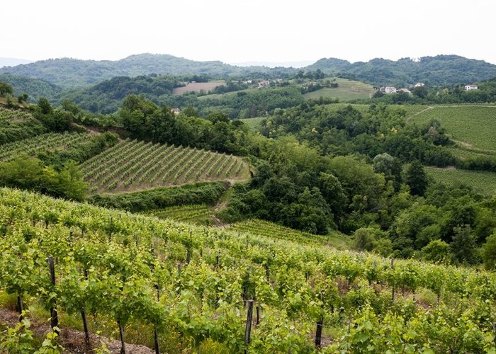 San Floriano del Collio, Italy 2024: Best Places to Visit - Tripadvisor