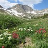 GalxeFortCollins_CO