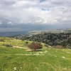 Things To Do in Jerash, Ajloun, and Umm Quais Full-Day Tour, Restaurants in Jerash, Ajloun, and Umm Quais Full-Day Tour