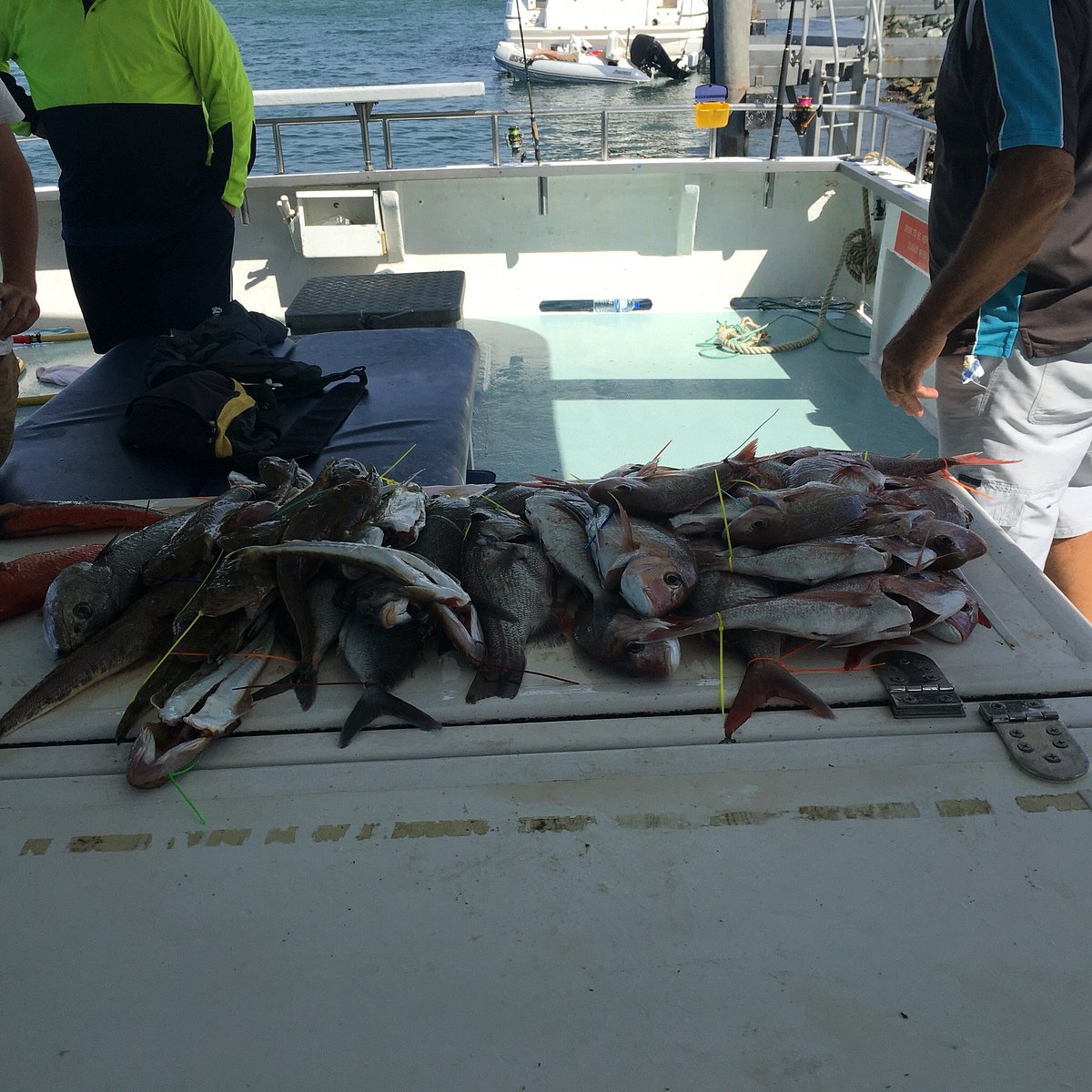 Fishing Tours: Find Your Sea Adventure Today! - SurReel Fishing Charters