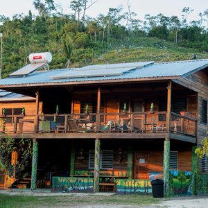 Tree of Life Guesthouse