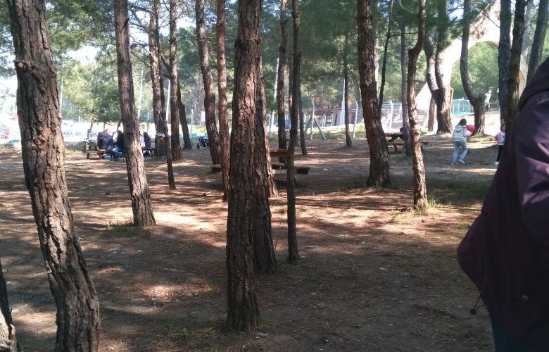 Park Orman Kemalpaşa