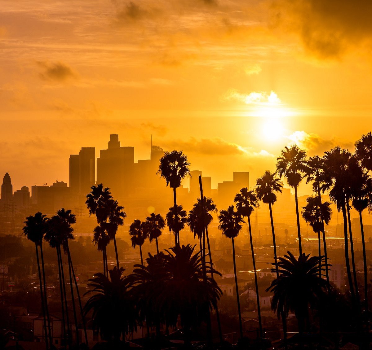 Tours By Locals (Los Angeles) - All You Need to Know BEFORE You Go