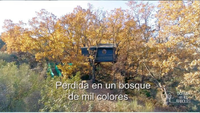 Imagen 7 de Cabañas en los Árboles de Extremadura