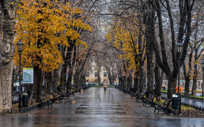 Boulevard View