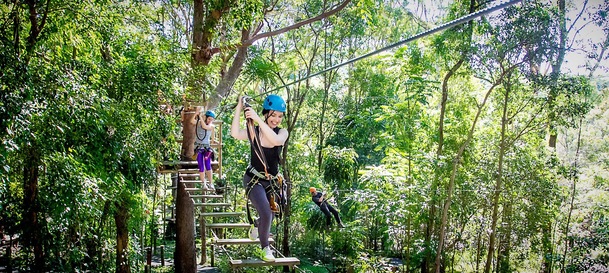 TreeTop Challenge - All You Need to Know BEFORE You Go (2024)