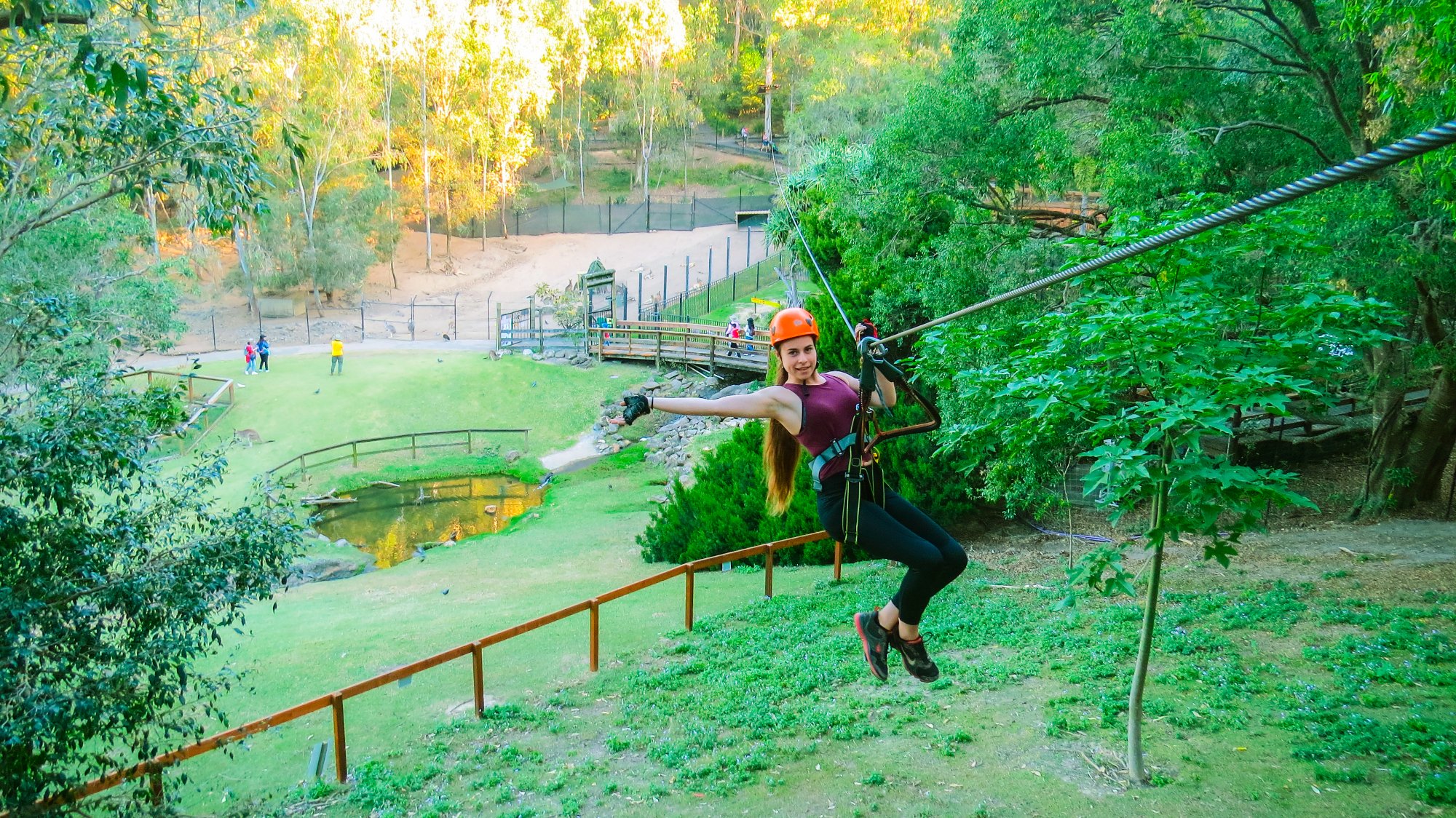 TreeTop Challenge (Gold Coast): All You Need To Know