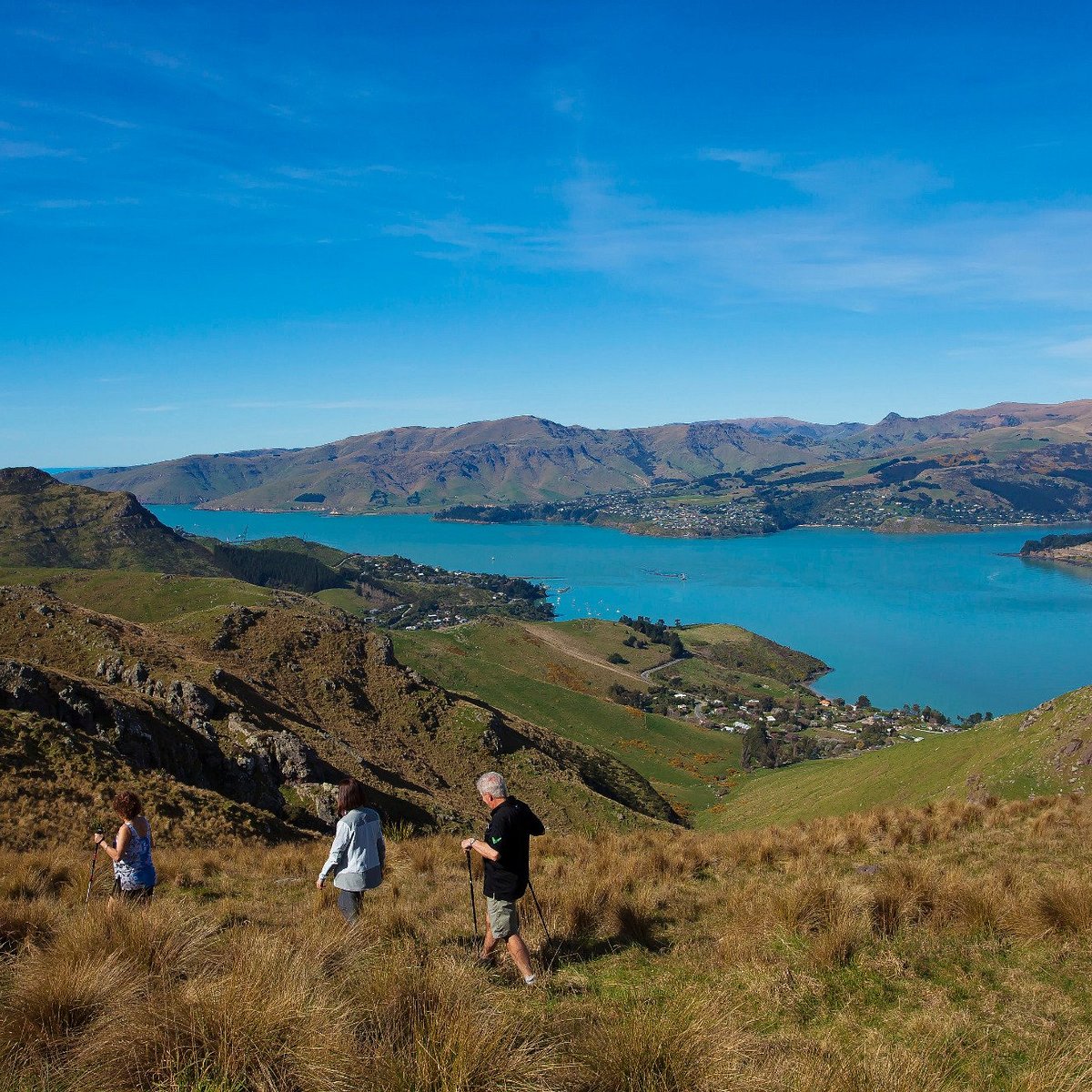 Christchurch новая Зеландия