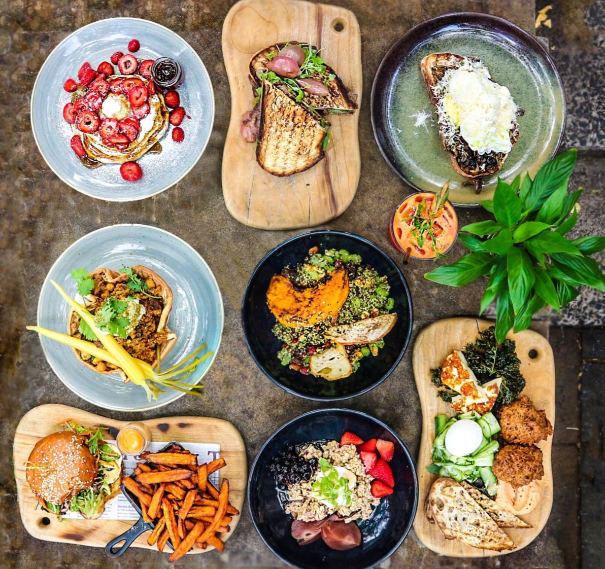 SOCIAL BREW CAFE, Sydney - Menu, Prices & Restaurant Reviews - Tripadvisor