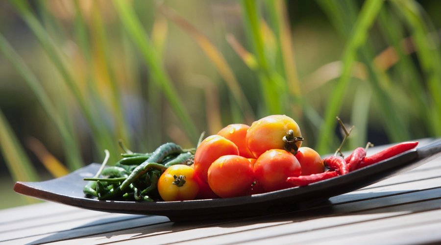 Only-Fresh-Ingredients-Losteria-Lombok