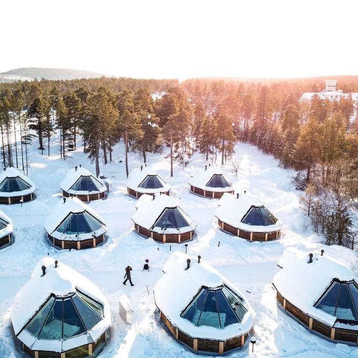 renna della foresta finlandese