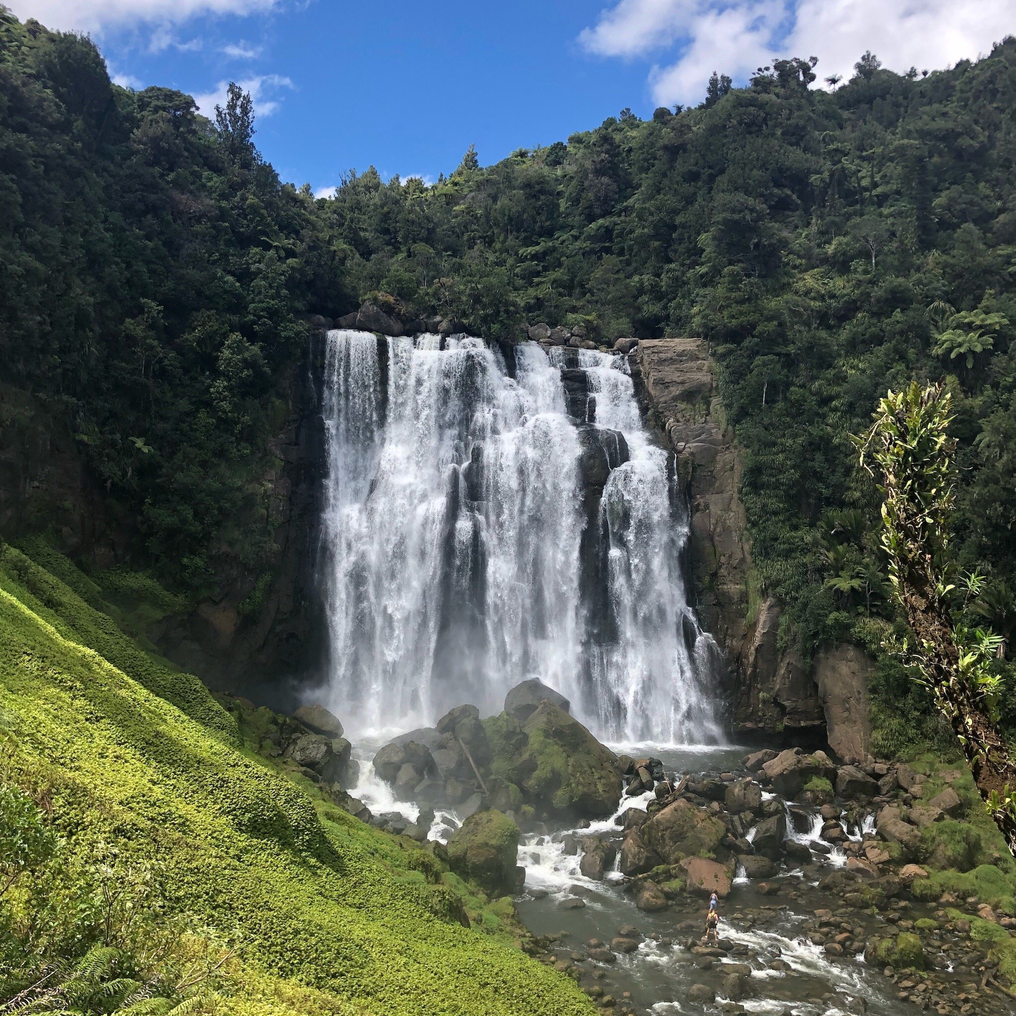 WAITOMO CAVES HOTEL - B&B Reviews (New Zealand)