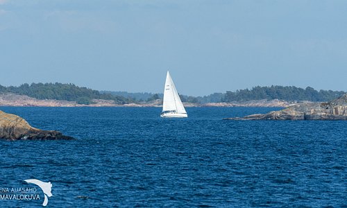 Purjevene Nötöllä, sailing boat at Nötö, segling på Nötö, Finlands skärgård