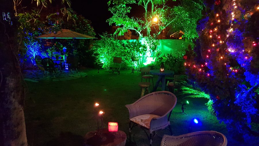 Jardim 