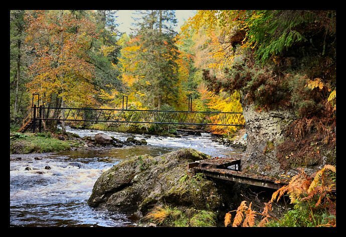 Salmon Fishing in the Highlands