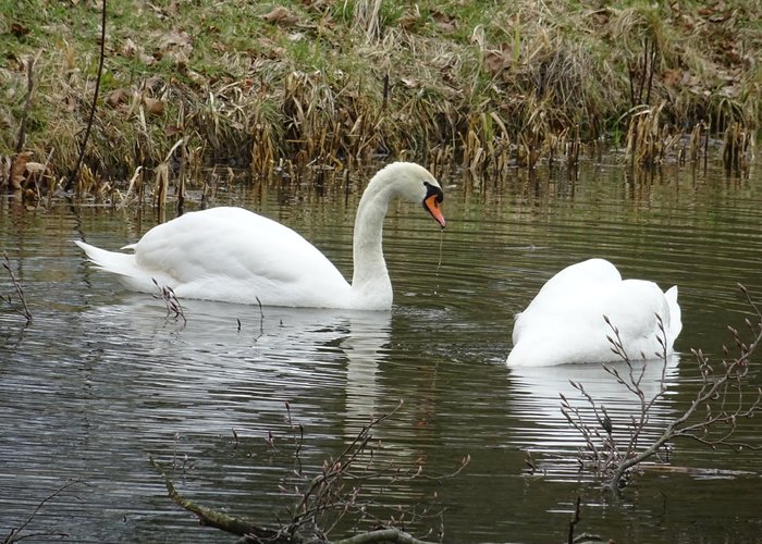 Oudemirdum, The Netherlands 2023: Best Places to Visit - Tripadvisor