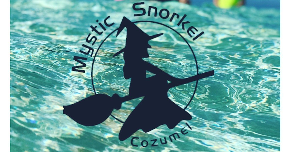 Mystic Snorkel (Cozumel) - 2023 Lo que se debe saber antes de viajar -  Tripadvisor