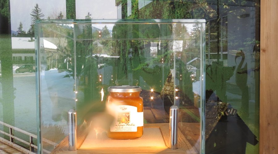 Il bosco riflesso nelle albicocche