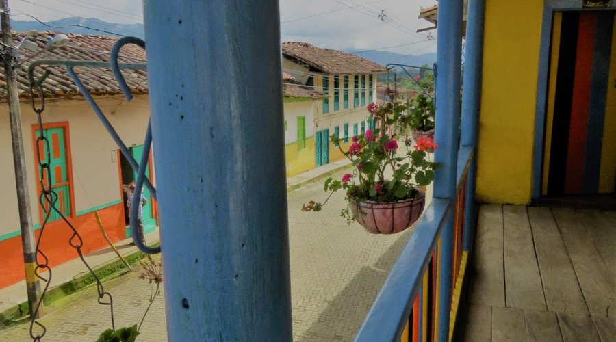 Hostel's view