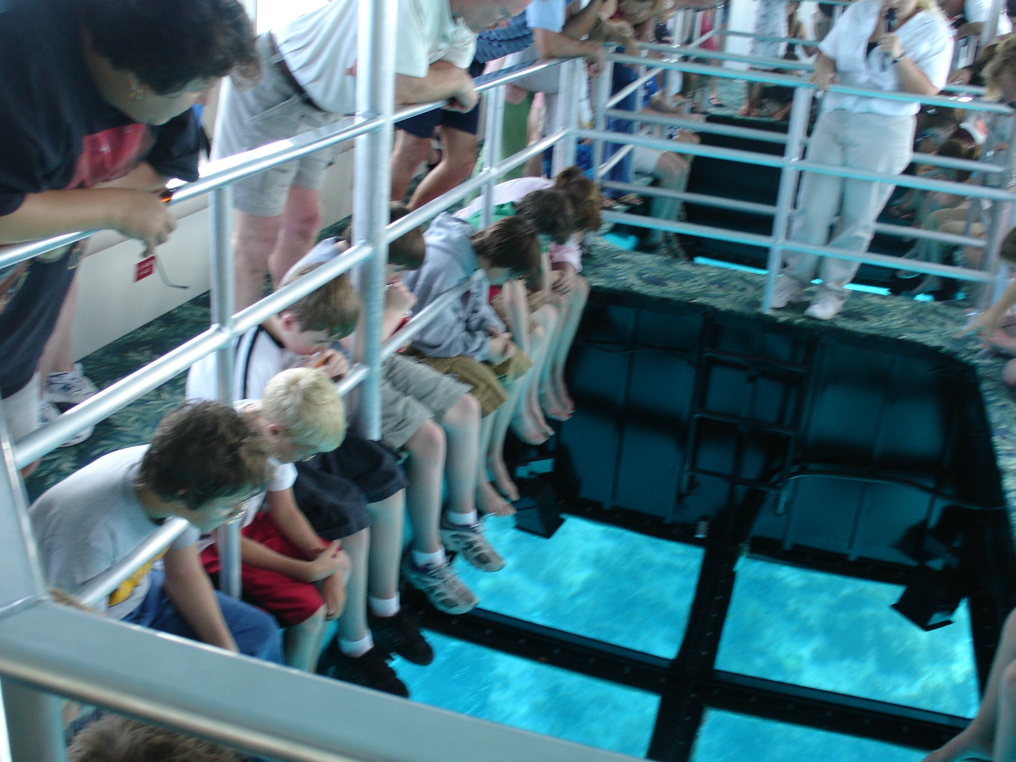 key largo princess glass bottom boat tour