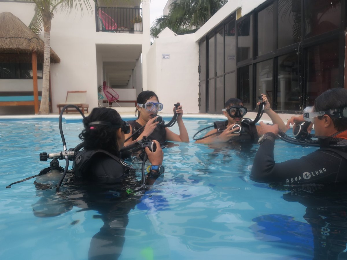 Wet Set Diving Adventures (Puerto Morelos) - All You Need to Know ...