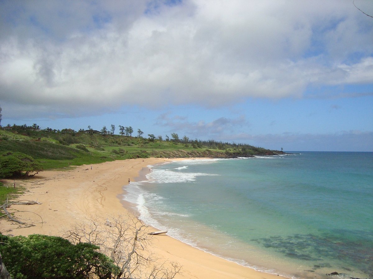 Secret Solitude Under Kauai's Waters