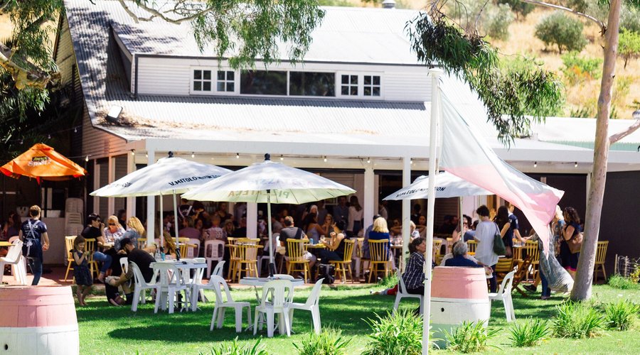 One Sunny day in McLaren Vale
