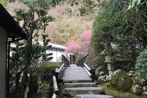 客室 & スイート