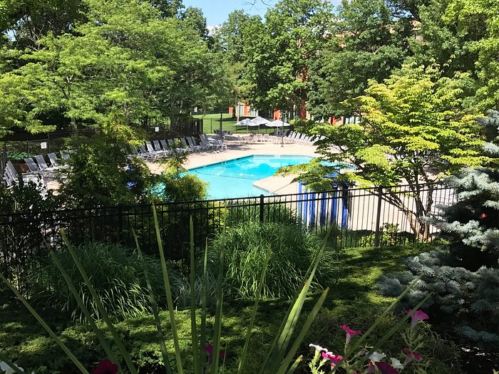 Hilton Woodcliff Lake Pool Pictures & Reviews Tripadvisor