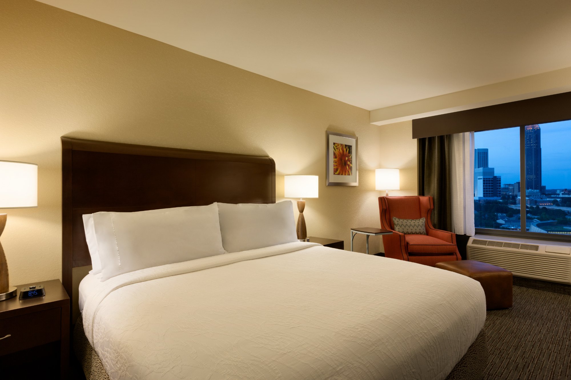 Hotel photo 42 of Hilton Garden Inn Atlanta Downtown.