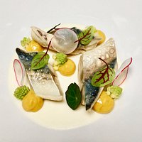 Maquereau vin blanc, panna cotta de choux fleur