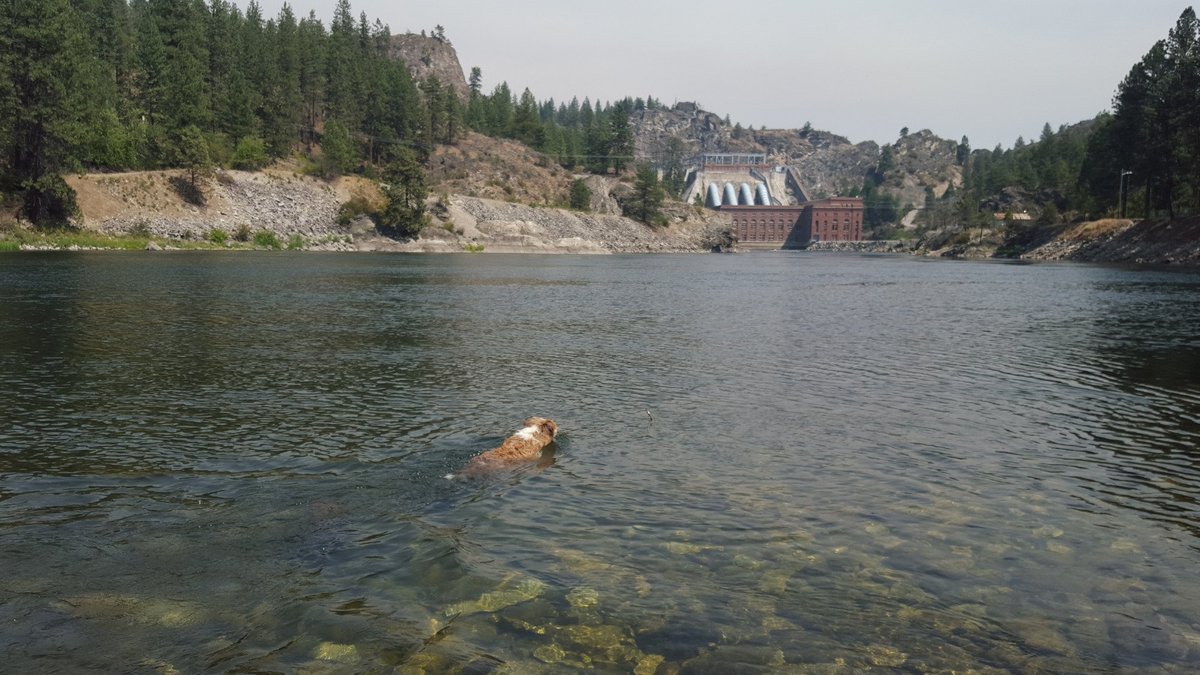 Lake Spokane (Long Lake), Nine Mile Falls лучшие советы перед