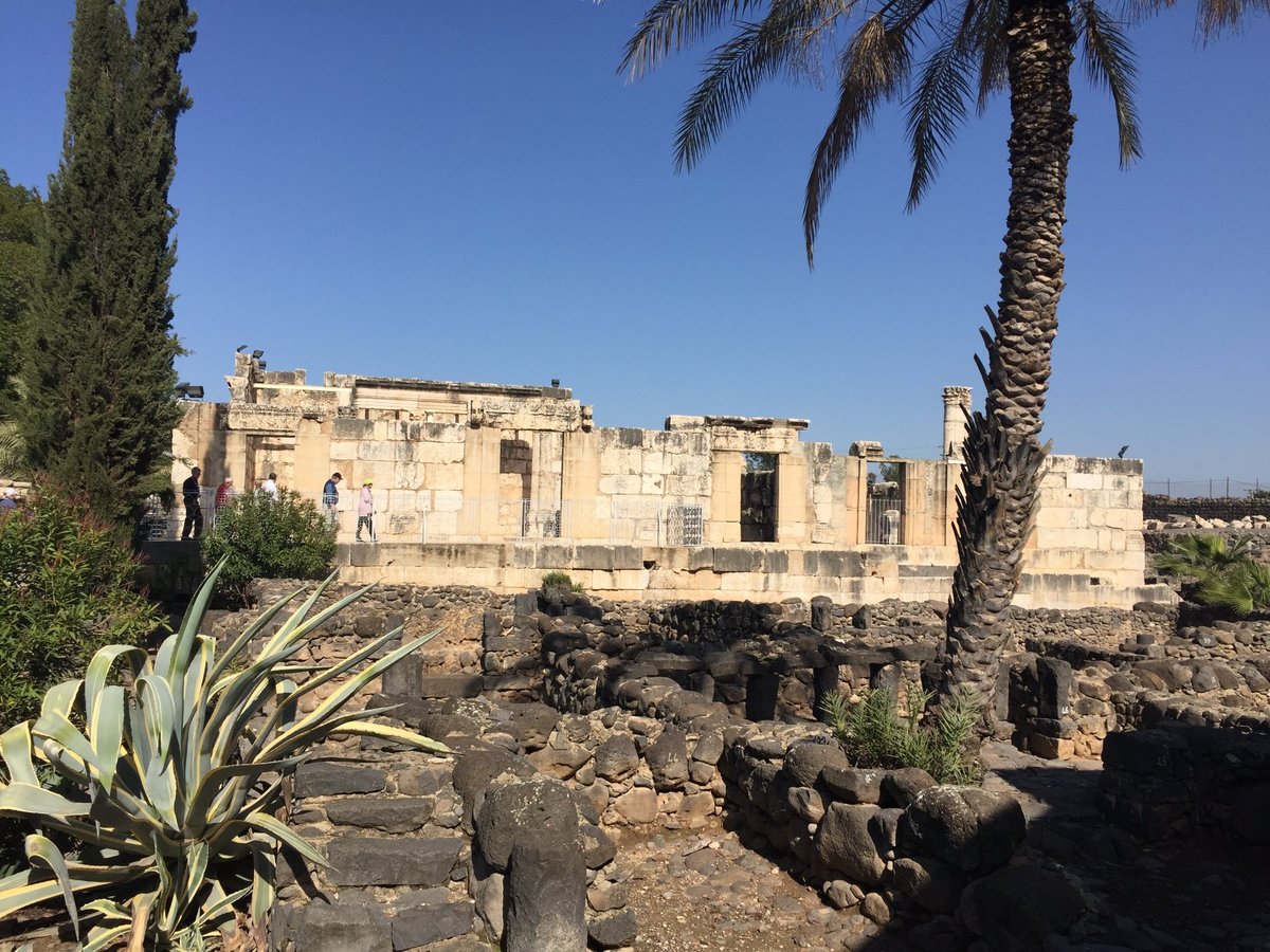 Capharnaum the Town of Jesus, Капернаум: лучшие советы перед посещением -  Tripadvisor