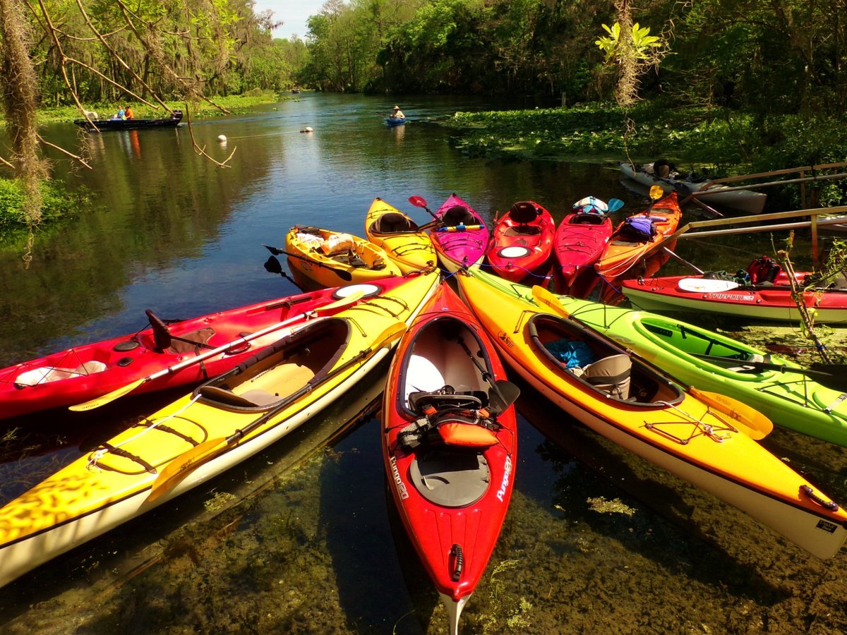 KAYAKING SILVER SPRINGS All You Need to Know BEFORE You Go