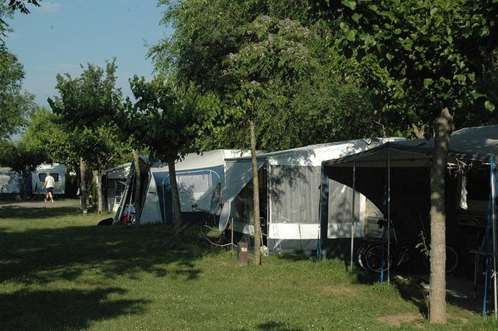 Imagen 3 de Camping Mas Nou