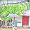 eltiopay
