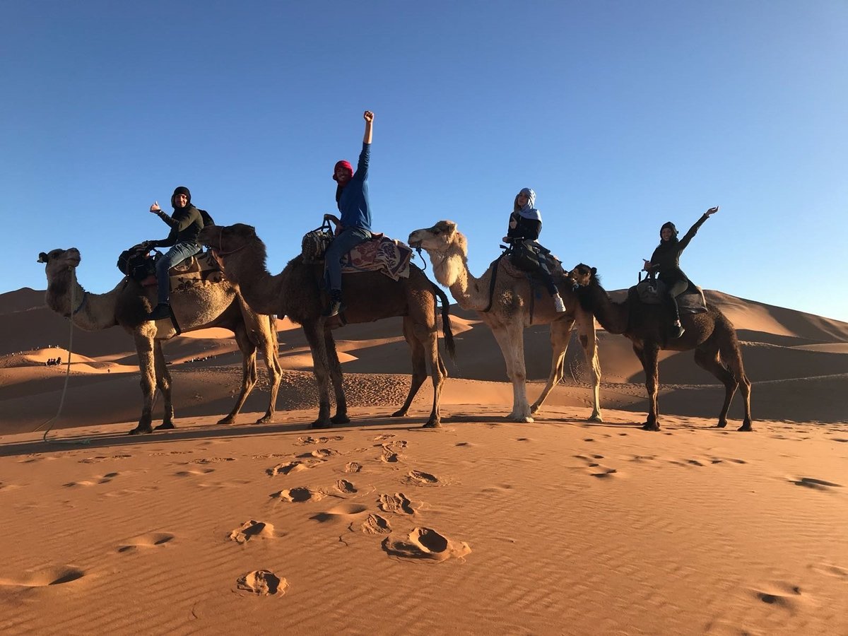 Private Tours Marrakech - All You Need to Know BEFORE You Go