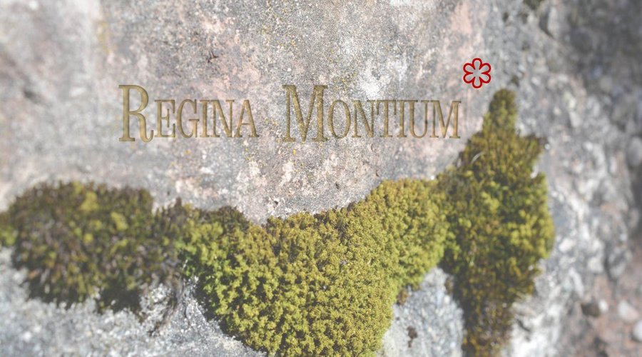 Regina Montium image 1 - Full view