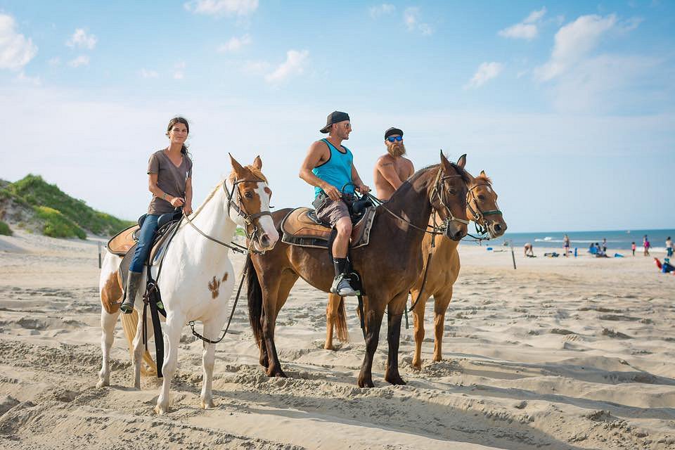 wild horse tour nags head