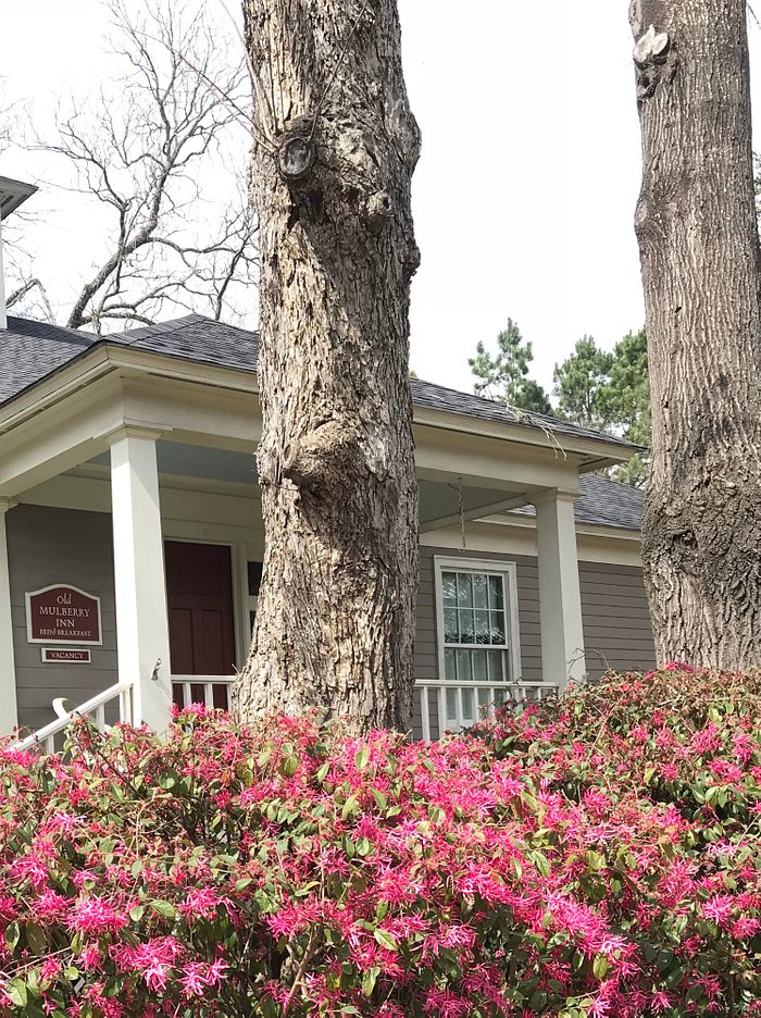 Our Anniversary Weekend - Review of Azalea Manor Bed and Breakfast
