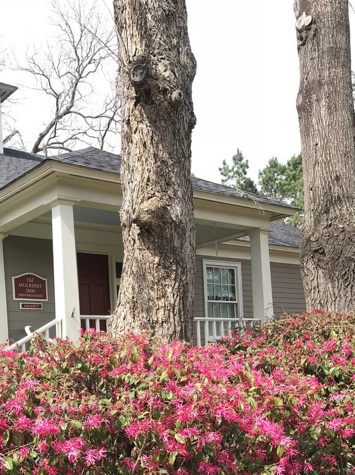 Our Anniversary Weekend - Review of Azalea Manor Bed and Breakfast