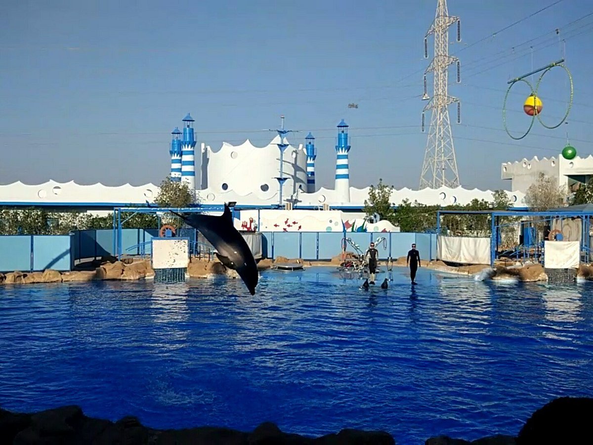 Dolphin World, Хургада: лучшие советы перед посещением - Tripadvisor