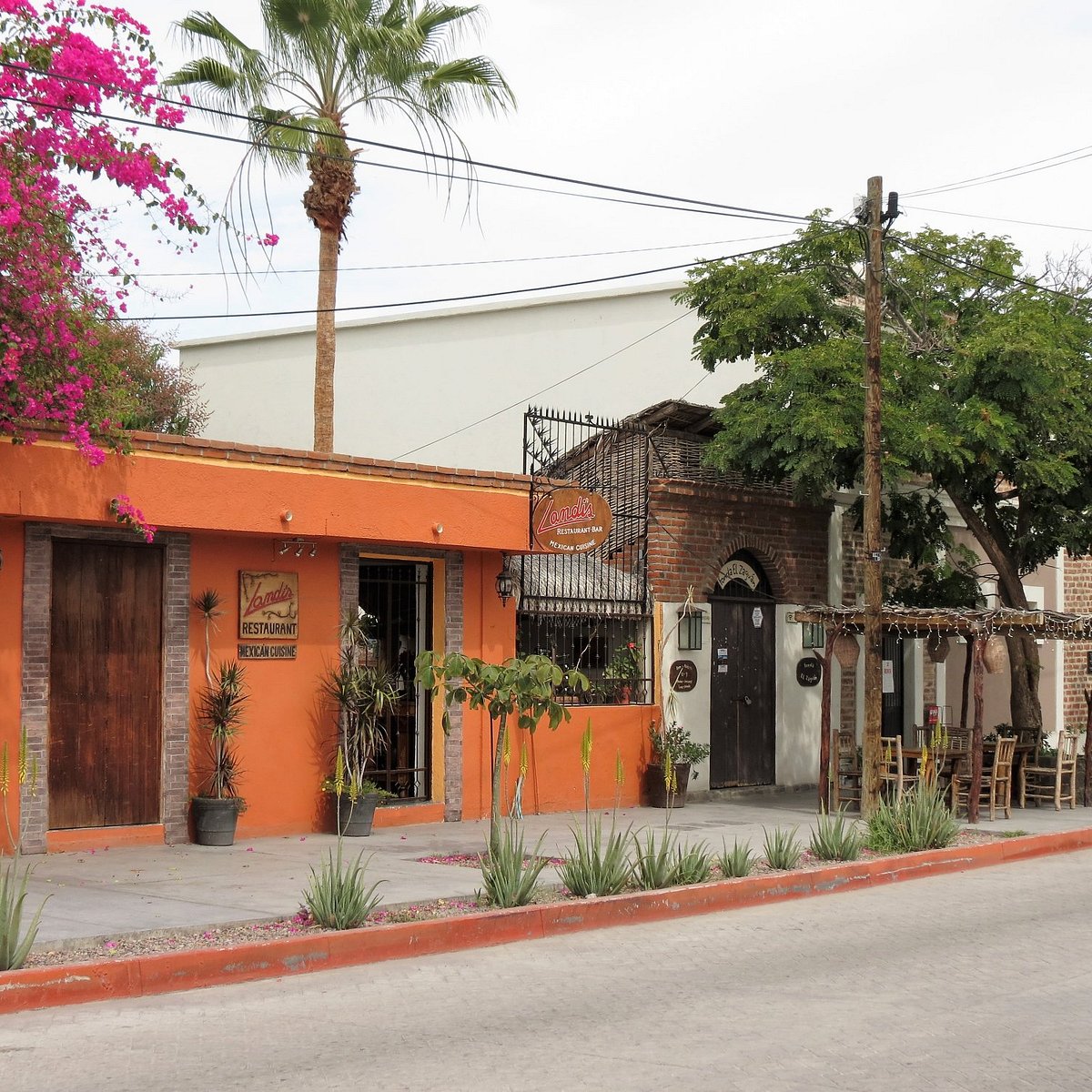 Calle Benito Juárez (Todos Santos) - All You Need to Know BEFORE You Go