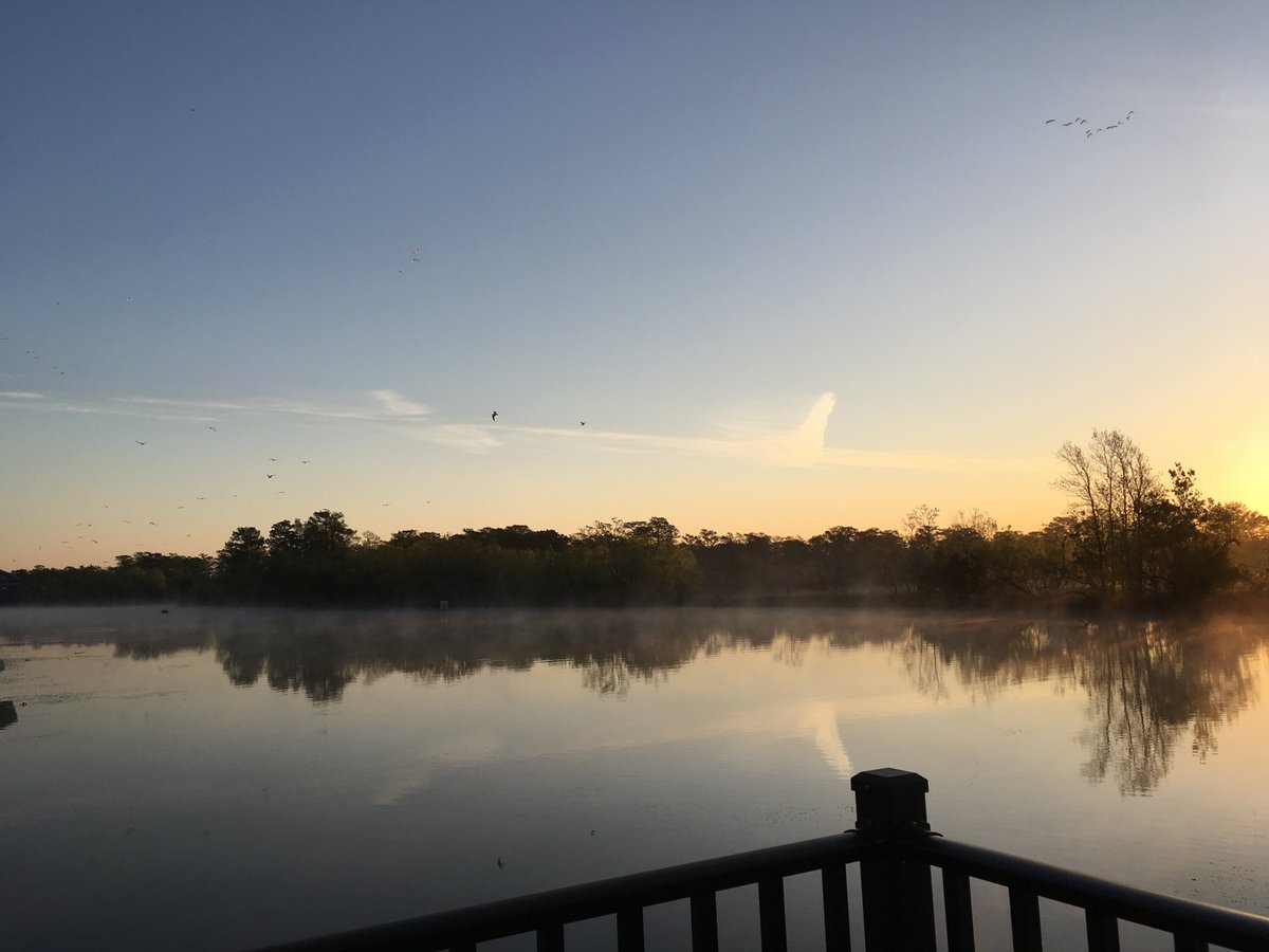 Louisiana Bayou Segnette State Park: Where The Bayou Meets The Beach